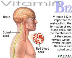 Vitamin B complex